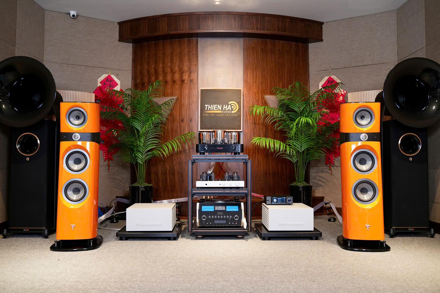 Thienhaaudio03.jpg