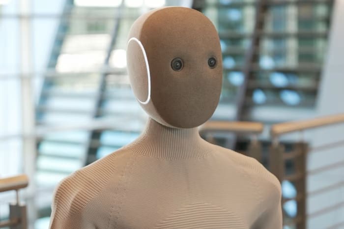 Cú lừa robot tự làm việc nhà giá 22.000 USD
