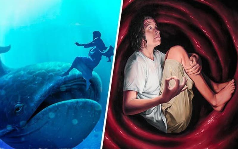 Liệu một người bị cá voi nuốt chửng có thể dùng dao rạch bụng cá voi để thoát ra? Sự thật khoa học khiến nhiều người bất ngờ