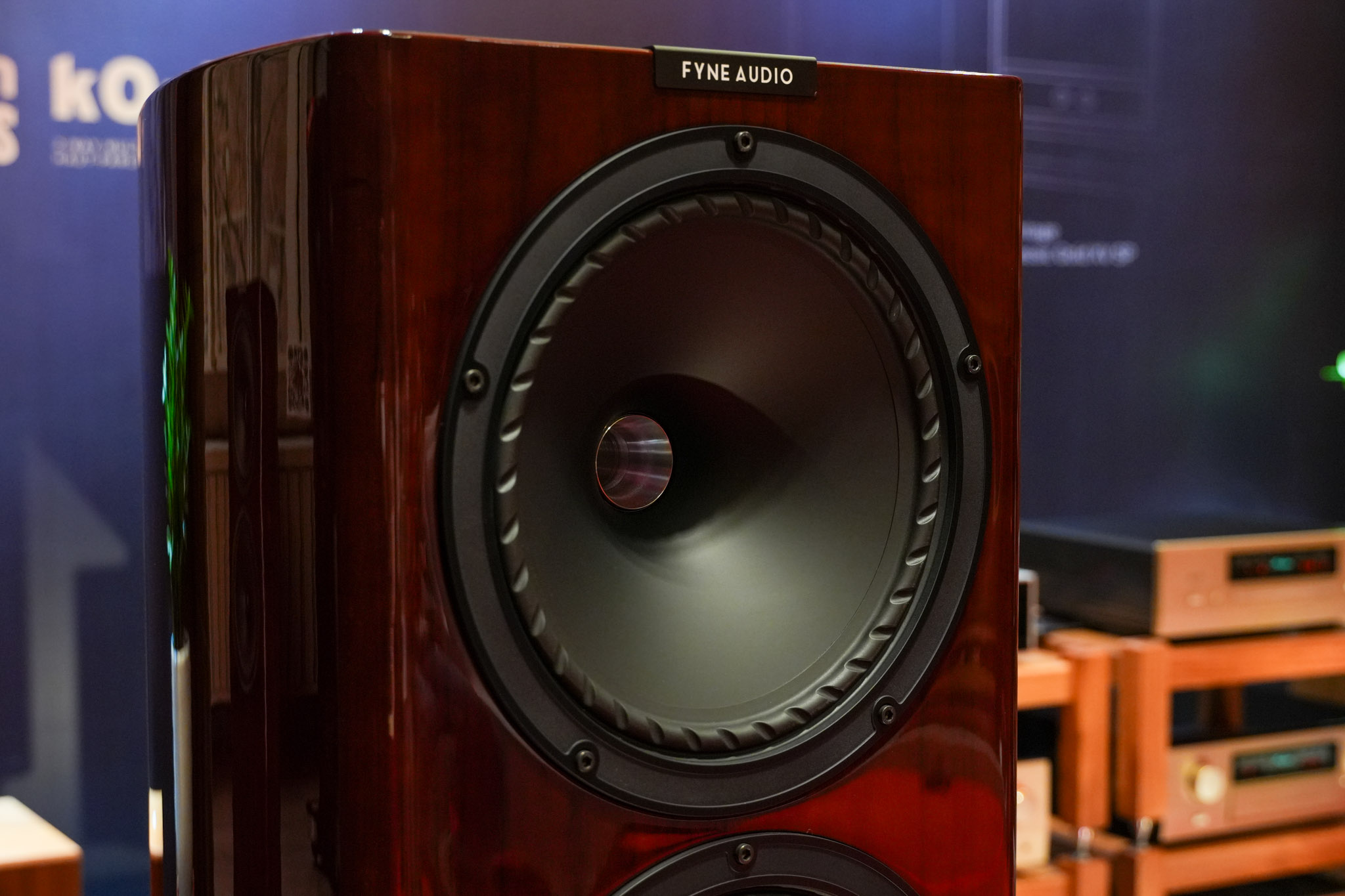 AV Show Hà Nội 2025 Ba Hung Audio (7 of 17).jpg
