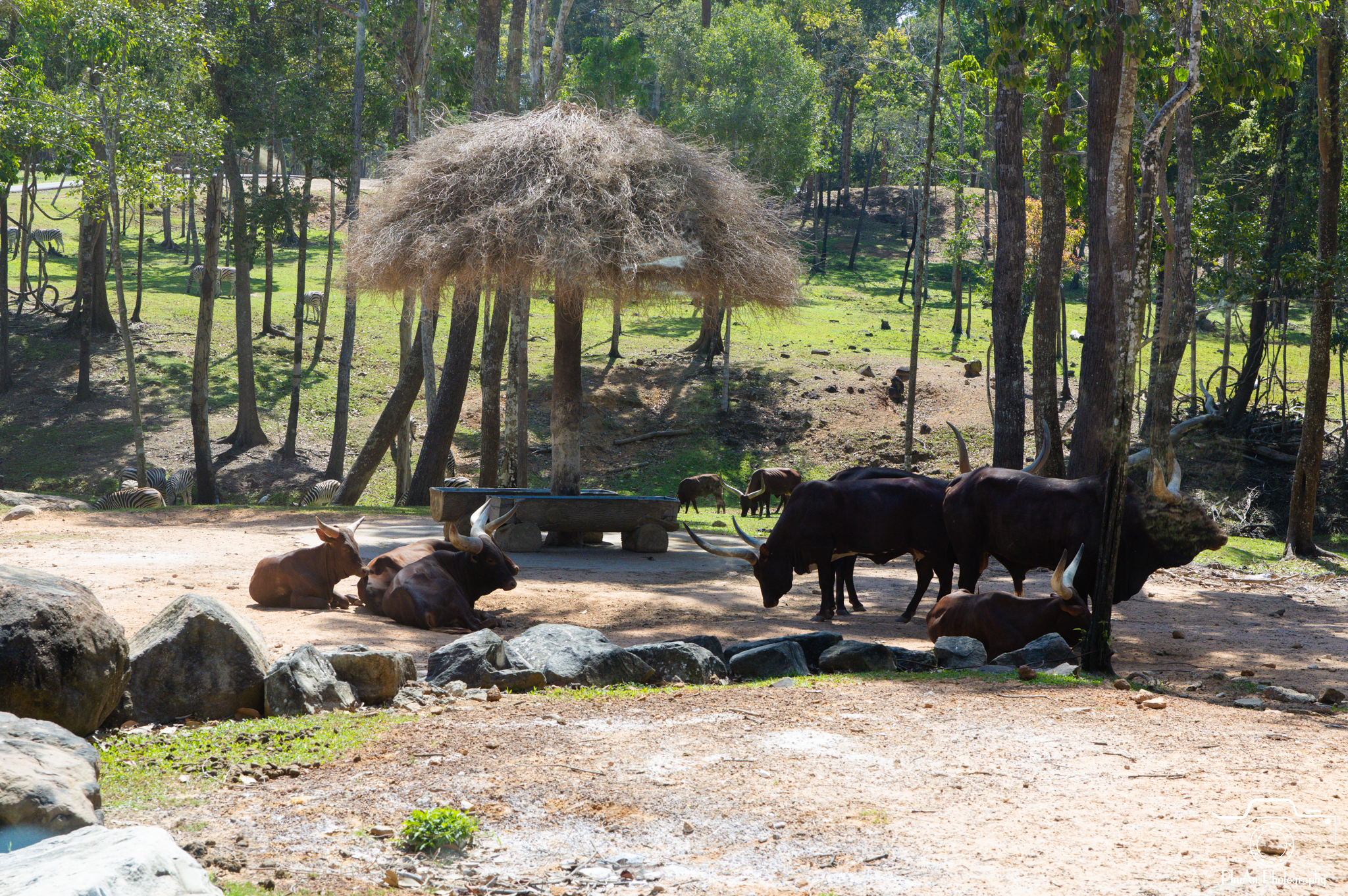 1768701131647.jpeg