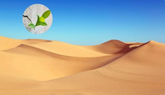 Phát minh làm rung chuyển ngành xây dựng: Tạo ra bê tông từ thứ tưởng không thể dùng, bước ngoặt cho vật liệu phổ biến thứ 2 thế giới