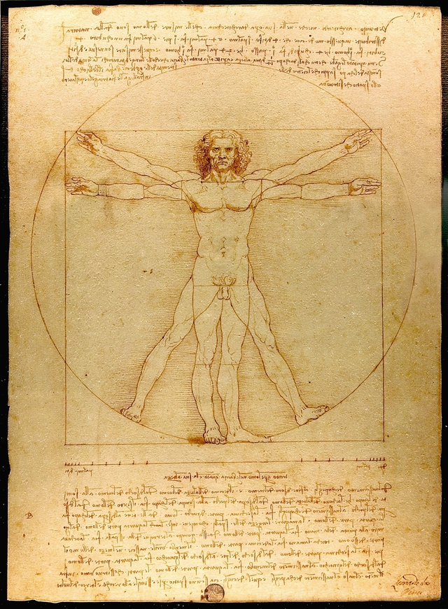 Hơn 500 năm sau Leonardo da Vinci, tỷ lệ cơ thể của đàn ông Việt có còn khớp với Người Vitruvius? - Ảnh 5.