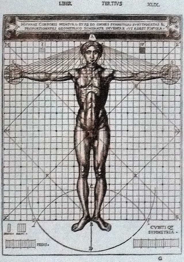 Hơn 500 năm sau Leonardo da Vinci, tỷ lệ cơ thể của đàn ông Việt có còn khớp với Người Vitruvius? - Ảnh 2.
