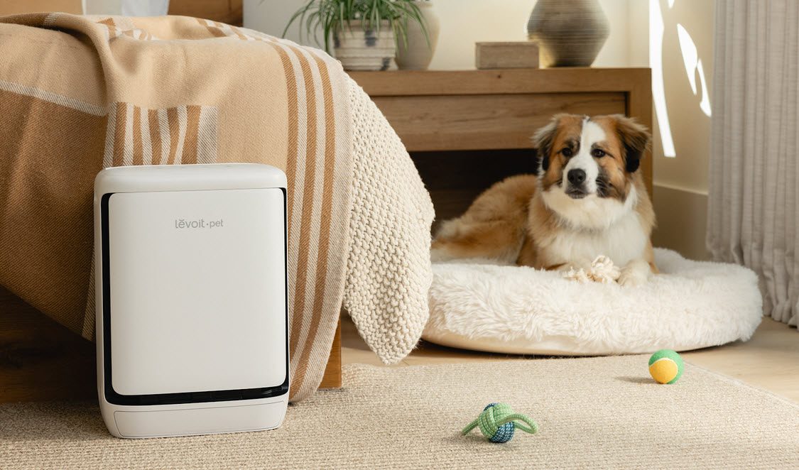 Levoit ra mắt Máy lọc không khí Levoit Vital Pet Pro – giải pháp thông minh dành cho nhà nuôi thú cưng Levoit ra mắt Máy lọc không khí Levoit Vital Pet Pro - giải pháp thông minh dành cho nhà nuôi thú cưng